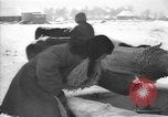 Image of Ukraine farm workers on snow covered farm Kiev Ukraine, 1947, second 34 stock footage video 65675053671