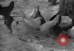 Image of Ukraine farm workers on snow covered farm Kiev Ukraine, 1947, second 58 stock footage video 65675053671