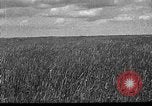 Image of Russian farm Russia Soviet Union, 1942, second 1 stock footage video 65675053673
