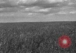 Image of Russian farm Russia Soviet Union, 1942, second 4 stock footage video 65675053673