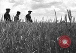 Image of Russian farm Russia Soviet Union, 1942, second 10 stock footage video 65675053673
