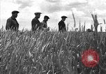 Image of Russian farm Russia Soviet Union, 1942, second 11 stock footage video 65675053673