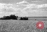 Image of Russian farm Russia Soviet Union, 1942, second 13 stock footage video 65675053673