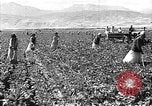 Image of Russian farm Russia Soviet Union, 1942, second 20 stock footage video 65675053673