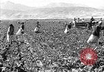Image of Russian farm Russia Soviet Union, 1942, second 21 stock footage video 65675053673