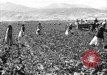 Image of Russian farm Russia Soviet Union, 1942, second 22 stock footage video 65675053673