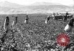 Image of Russian farm Russia Soviet Union, 1942, second 23 stock footage video 65675053673