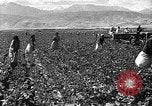 Image of Russian farm Russia Soviet Union, 1942, second 24 stock footage video 65675053673