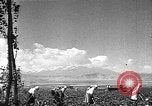 Image of Russian farm Russia Soviet Union, 1942, second 25 stock footage video 65675053673
