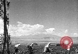 Image of Russian farm Russia Soviet Union, 1942, second 26 stock footage video 65675053673