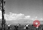 Image of Russian farm Russia Soviet Union, 1942, second 27 stock footage video 65675053673
