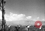 Image of Russian farm Russia Soviet Union, 1942, second 28 stock footage video 65675053673