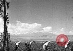 Image of Russian farm Russia Soviet Union, 1942, second 29 stock footage video 65675053673