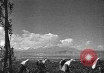 Image of Russian farm Russia Soviet Union, 1942, second 30 stock footage video 65675053673