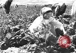 Image of Russian farm Russia Soviet Union, 1942, second 33 stock footage video 65675053673