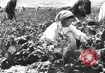 Image of Russian farm Russia Soviet Union, 1942, second 34 stock footage video 65675053673