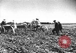 Image of Russian farm Russia Soviet Union, 1942, second 36 stock footage video 65675053673