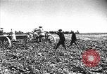Image of Russian farm Russia Soviet Union, 1942, second 37 stock footage video 65675053673