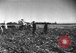 Image of Russian farm Russia Soviet Union, 1942, second 38 stock footage video 65675053673