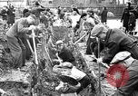 Immagine di Preparazione della guerra La Russia Unione Sovietica, 1942, secondo 62 filmato di repertorio 65675053675