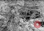 Immagine di Truppe tedesche La Russia Unione Sovietica, 1942, secondo 29 filmato di repertorio 65675053676