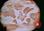 Image of Sexually transmitted disease education United States USA, 1944, second 62 stock footage video 65675053687