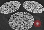 Standbild Lace doilies Portofino Italien, 1951, aus Sekunde 44 historischem Filmmaterial Videoclip 65675053696