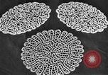 Standbild Lace doilies Portofino Italien, 1951, aus Sekunde 45 historischem Filmmaterial Videoclip 65675053696