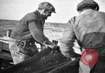 Immagine di Barche da pesca Portofino, 1951, secondo 1 filmato di repertorio 65675053697