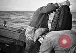 Immagine di Barche da pesca Portofino, 1951, secondo 4 filmato di repertorio 65675053697
