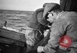 Immagine di Barche da pesca Portofino, 1951, secondo 5 filmato di repertorio 65675053697