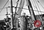Immagine di Barche da pesca Portofino, 1951, secondo 8 filmato di repertorio 65675053697
