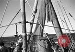 Immagine di Barche da pesca Portofino, 1951, secondo 9 filmato di repertorio 65675053697