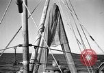 Immagine di Barche da pesca Portofino, 1951, secondo 10 filmato di repertorio 65675053697