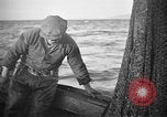 Immagine di Barche da pesca Portofino, 1951, secondo 13 filmato di repertorio 65675053697