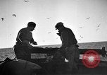 Immagine di Barche da pesca Portofino, 1951, secondo 20 filmato di repertorio 65675053697