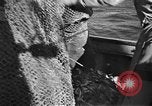 Immagine di Barche da pesca Portofino, 1951, secondo 24 filmato di repertorio 65675053697