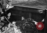 Immagine di Barche da pesca Portofino, 1951, secondo 25 filmato di repertorio 65675053697