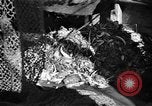 Immagine di Barche da pesca Portofino, 1951, secondo 26 filmato di repertorio 65675053697