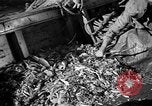 Immagine di Barche da pesca Portofino, 1951, secondo 28 filmato di repertorio 65675053697