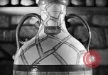 Standbild Italienischer Wein Italien, 1951, aus Sekunde 10 historischem Filmmaterial Videoclip 65675053699