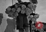 Standbild Italienischer Wein Italien, 1951, aus Sekunde 23 historischem Filmmaterial Videoclip 65675053699