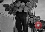 Standbild Italienischer Wein Italien, 1951, aus Sekunde 24 historischem Filmmaterial Videoclip 65675053699