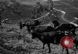 Standbild Apenninen Bergen Italien, 1951, aus Sekunde 9 historischem Filmmaterial Videoclip 65675053700