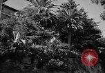 Image of Italian Riviera Italy, 1951, second 28 stock footage video 65675053705