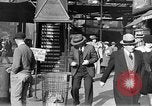 Image of elevated train New York City USA, 1939, second 4 stock footage video 65675053706