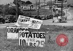 Image of highway traffic jam of 1930s cars New York City USA, 1939, second 11 stock footage video 65675053710