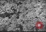 Image of Cooperative town community buildings Greenbelt Maryland USA, 1939, second 4 stock footage video 65675053711
