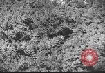 Image of Cooperative town community buildings Greenbelt Maryland USA, 1939, second 6 stock footage video 65675053711