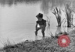 Image of Life in early cooperative community Greenbelt Maryland USA, 1939, second 5 stock footage video 65675053712